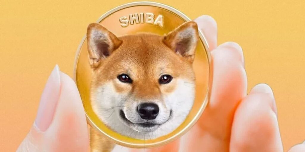 Shiba Inu Coin 101: Know How To Buy It And Earn Profit From This Trending Coin